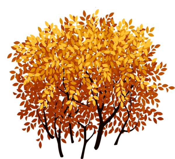 agac-png
