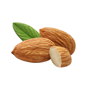Almond PNG – Healthy Nut Snack png 2