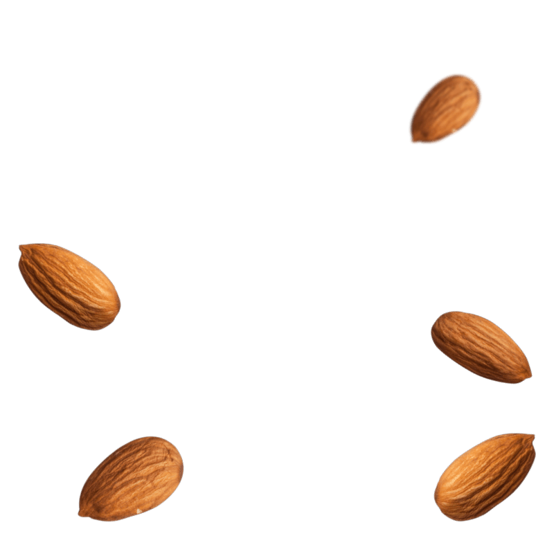 Almond PNG – Healthy Nut Snack png 3