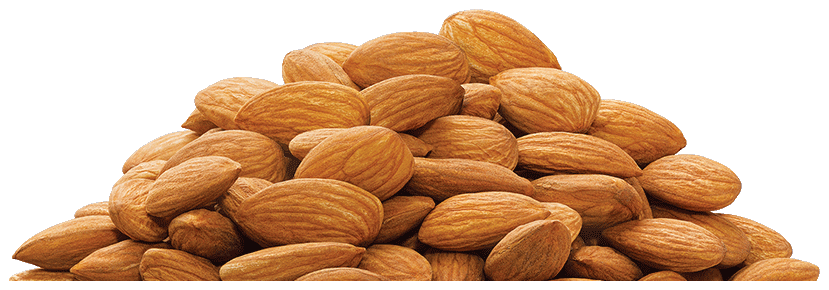 Almond Nut PNG – Transparent Background png 6