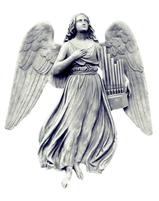 Angel Wings PNG – Transparent Background