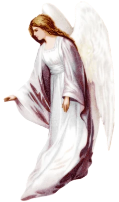 Angel Wings PNG – Transparent Background