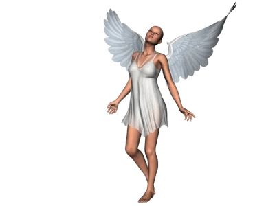 Angel Wings PNG – Transparent Background