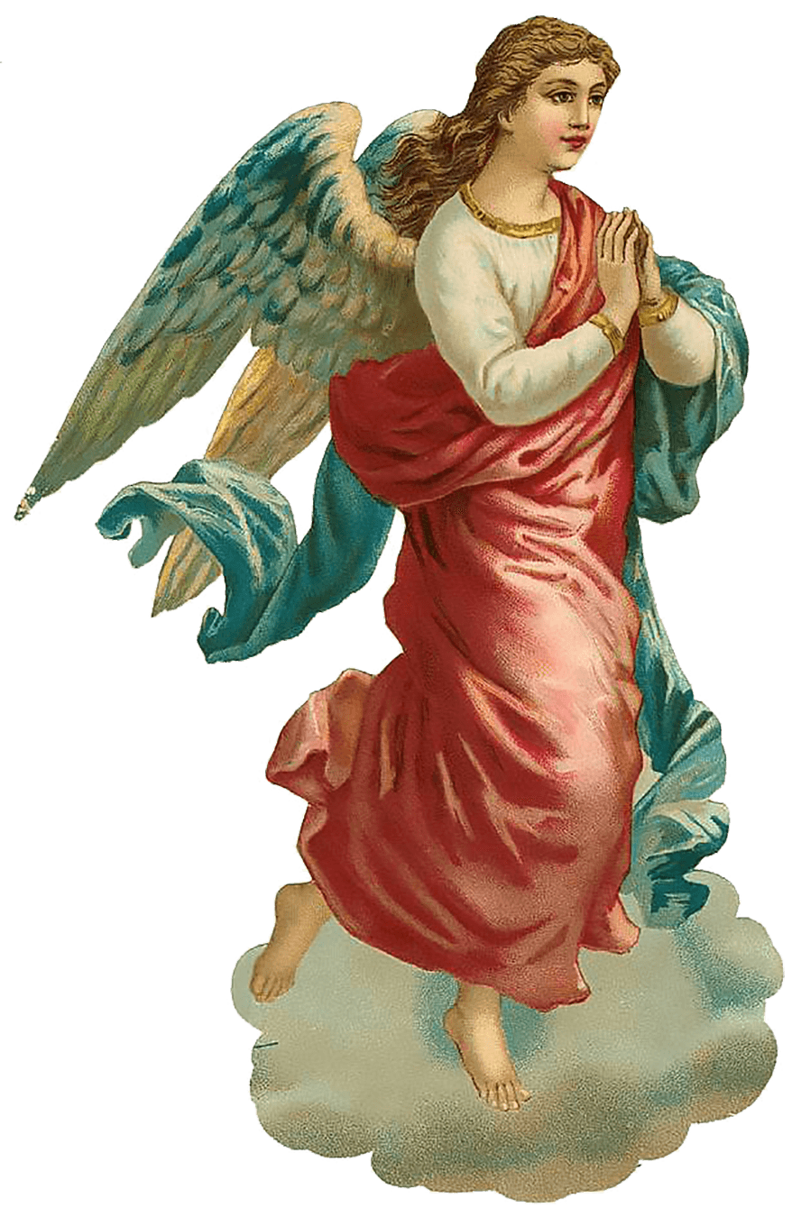 Angel Wings PNG – Transparent Background 11