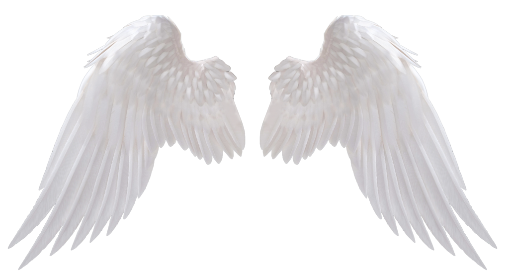 Angel Wings PNG – Transparent Background 12