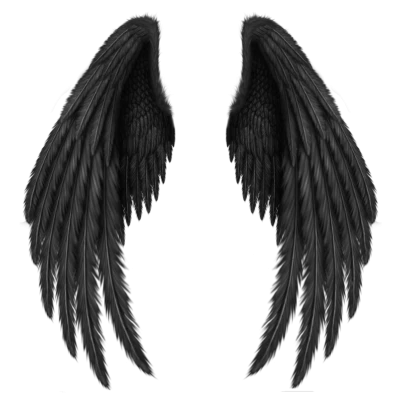 Angel Wings PNG – Transparent Background