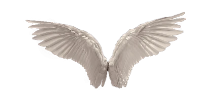 Angel Wings PNG – Transparent Background
