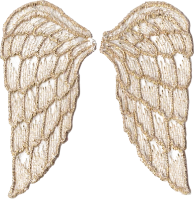 Angel Wings PNG – Transparent Background