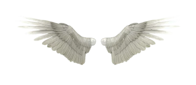 Angel Wings PNG – Transparent Background