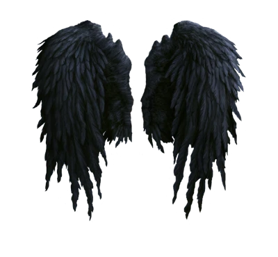 Angel Wings PNG – Transparent Background