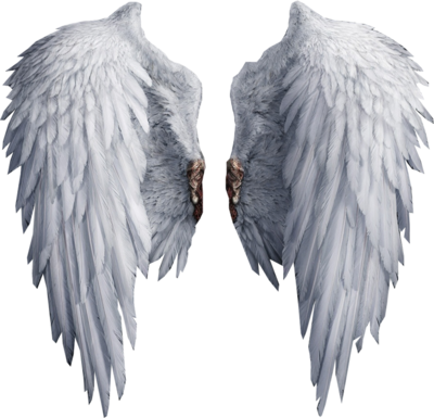 Angel Wings PNG – Transparent Background 20