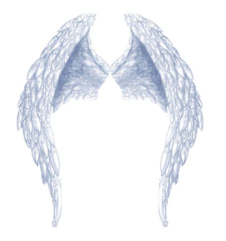 Beautiful Angel Wings PNG Clipart 6