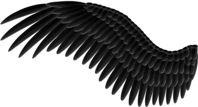 Beautiful Angel Wings PNG Clipart