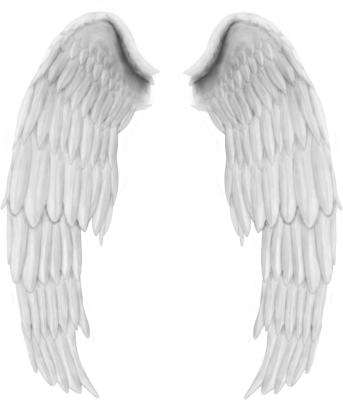 Beautiful Angel Wings PNG Clipart 11