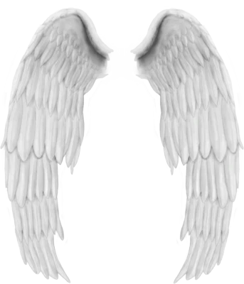 Beautiful Angel Wings PNG Clipart