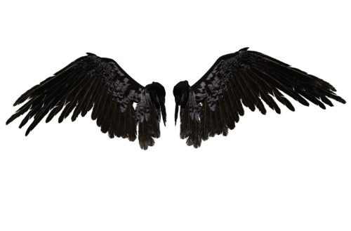 Beautiful Angel Wings PNG Clipart 12