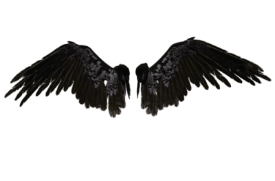 Beautiful Angel Wings PNG Clipart