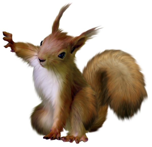 Wildlife Animals PNG – High Quality Images 7