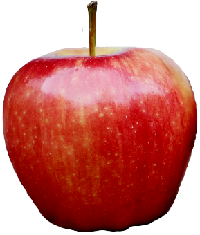 Apple PNG – Fresh Fruit Image 13