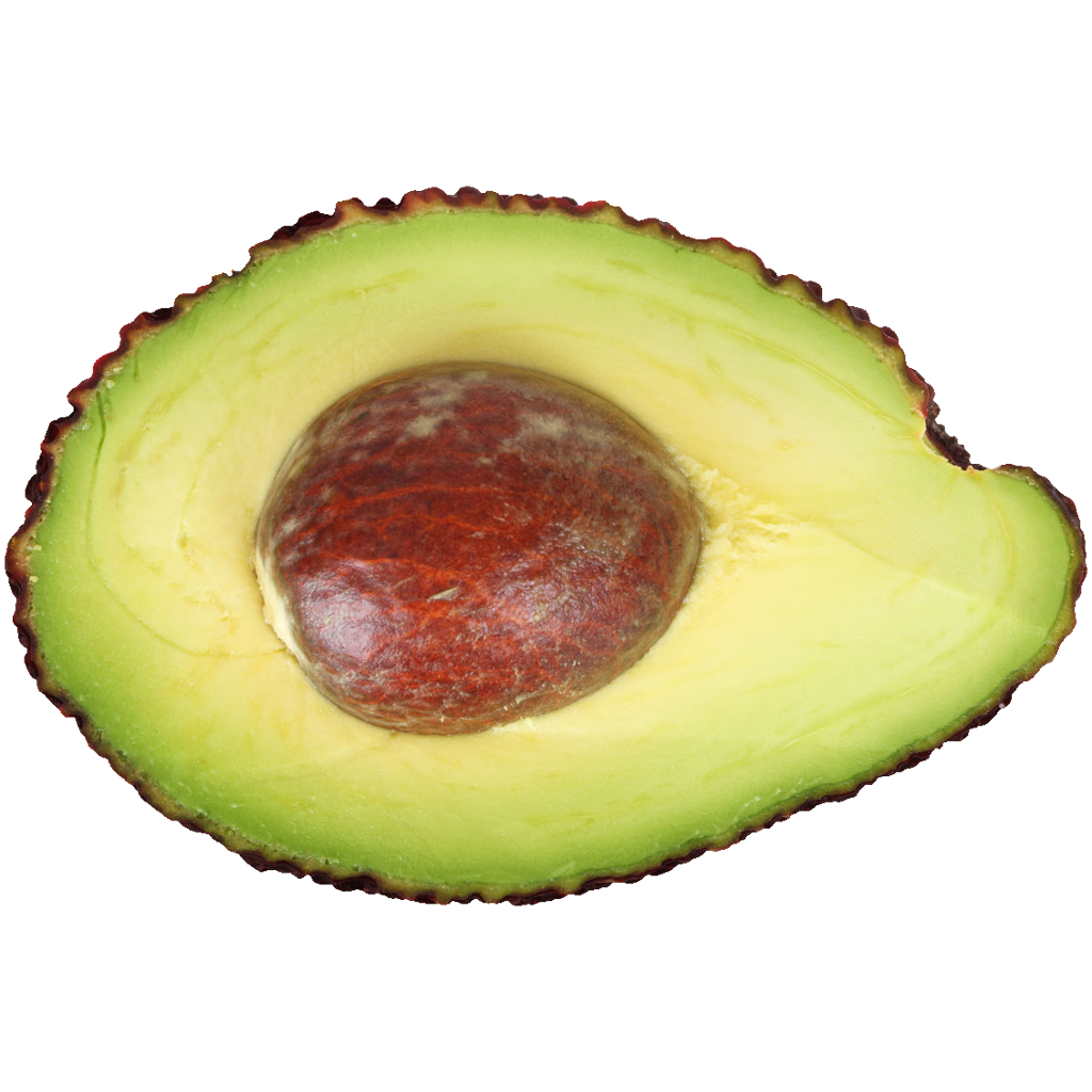 Avocado PNG – Fresh Fruit Image 2