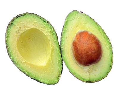 Avocado PNG – Fresh Fruit Image