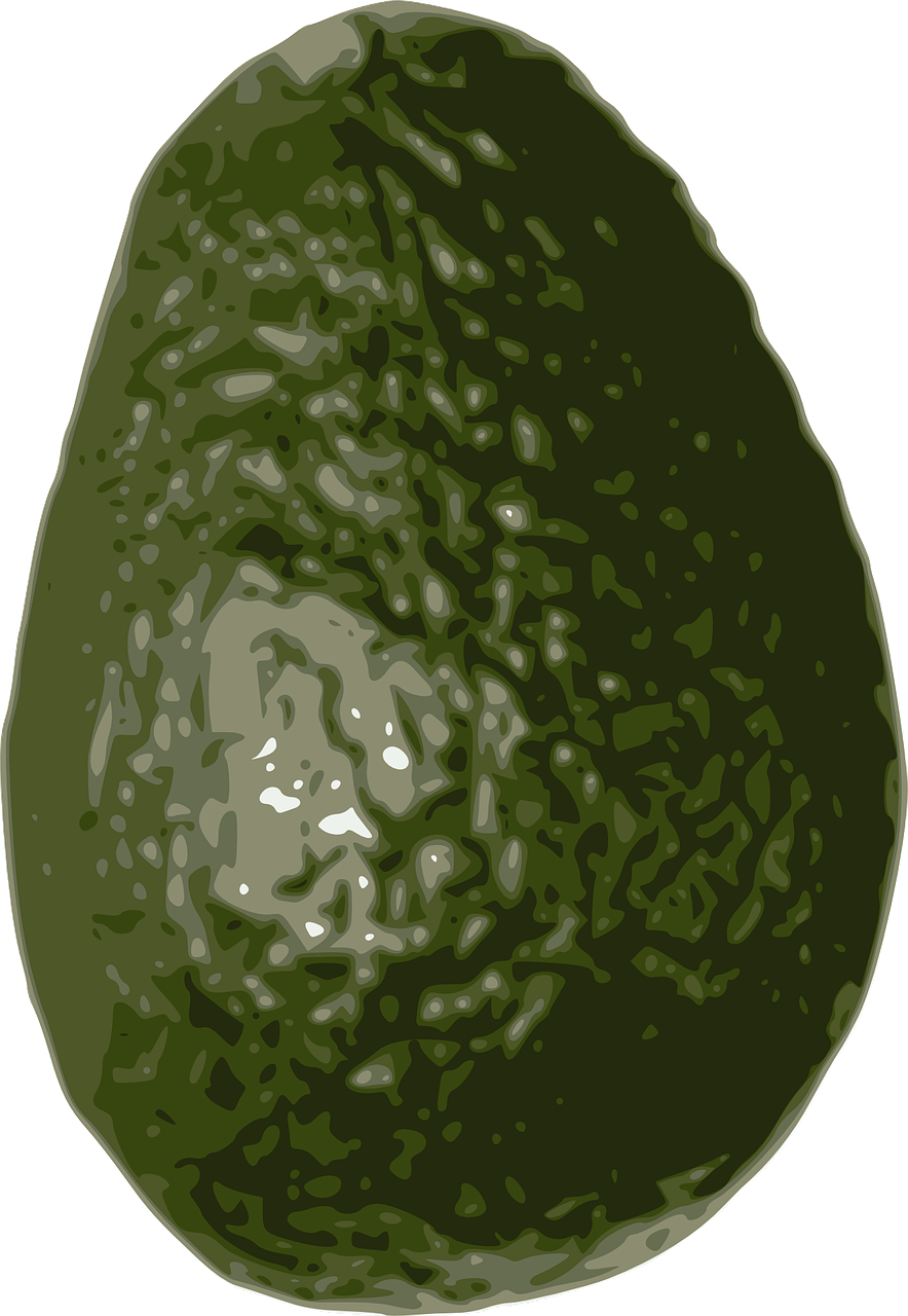 Avocado PNG – Fresh Fruit Image 4