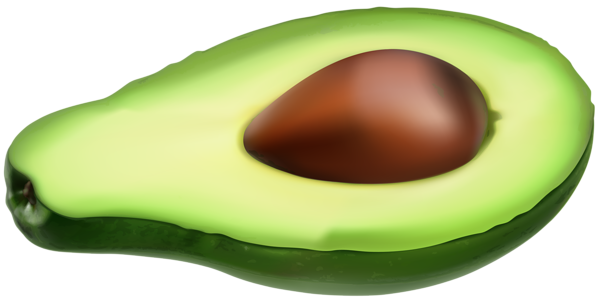 Avocado PNG – Fresh Fruit Image 15