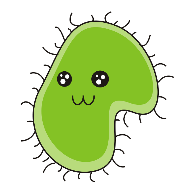 Microorganism Bacteria PNG Image