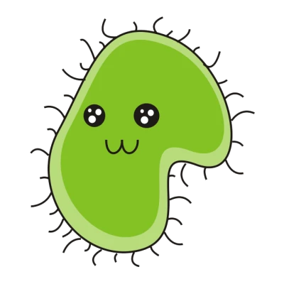 Microorganism Bacteria PNG Image