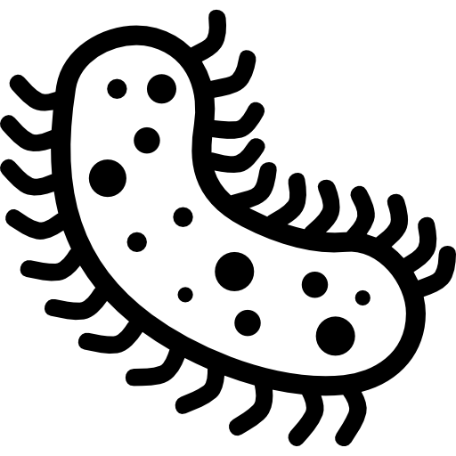 Microorganism Bacteria PNG Image