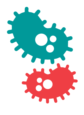 Microorganism Bacteria PNG Image