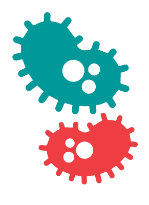 Microorganism Bacteria PNG Image