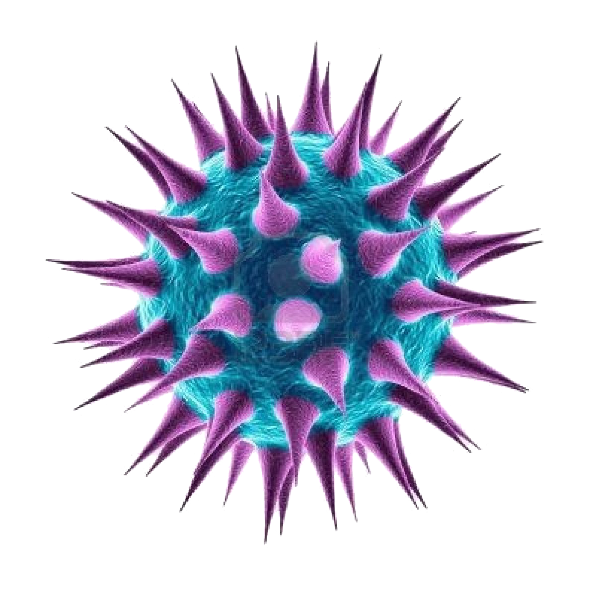 Bacteria PNG – Transparent Background 2