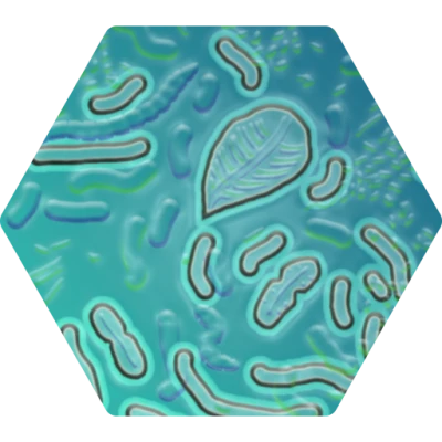 Bacteria PNG – Transparent Background