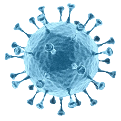Bacteria PNG – Transparent Background