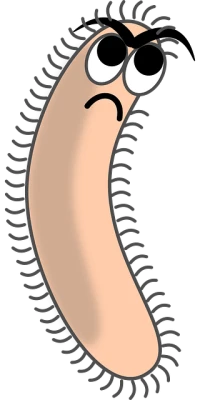 Bacteria PNG – Transparent Background