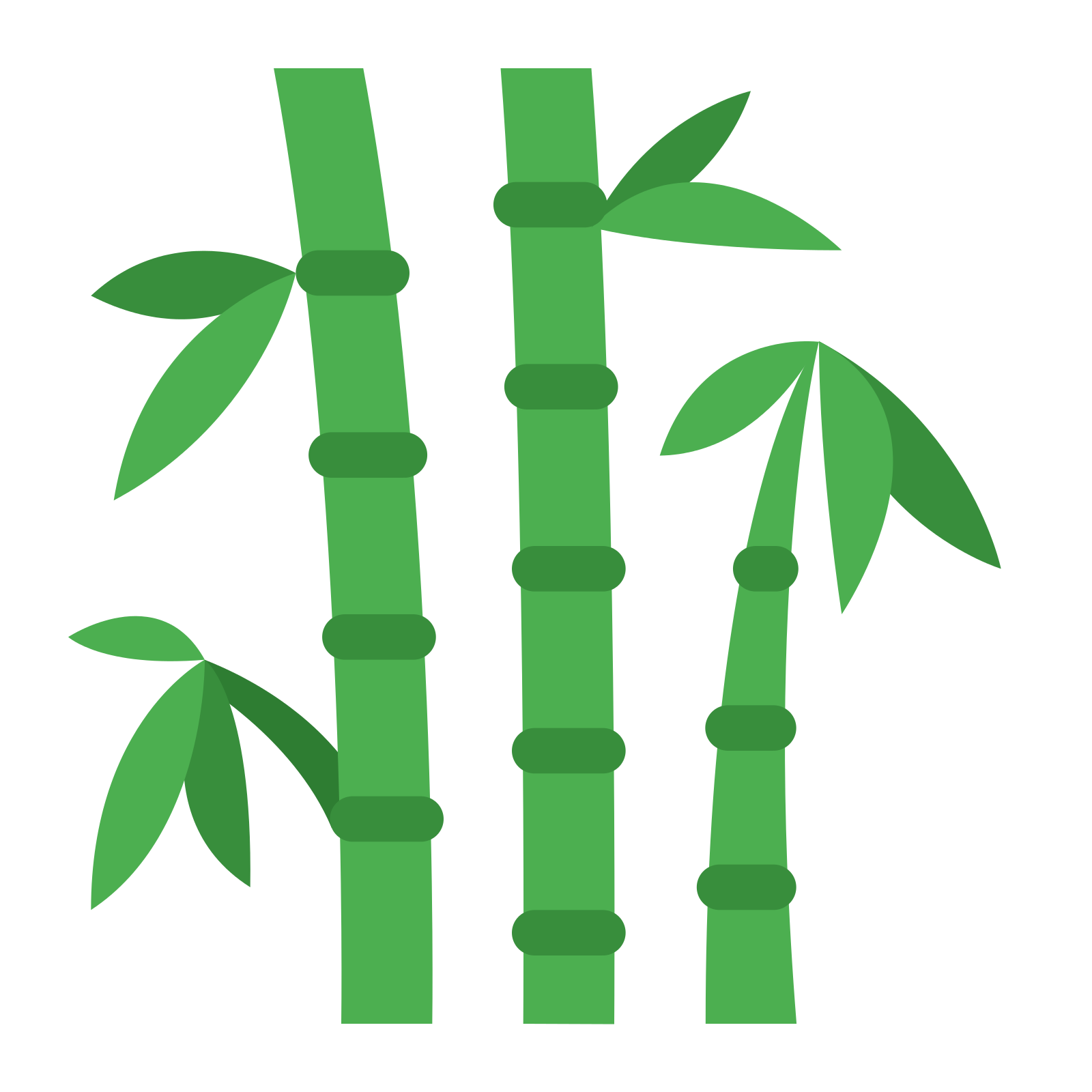 Bamboo PNG – Transparent Background 20