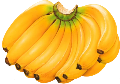 Banana PNG – Transparent Background
