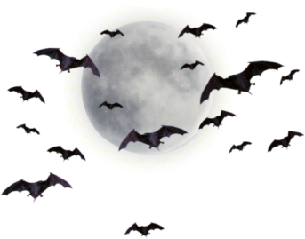 Halloween Bat PNG – Transparent Background 11