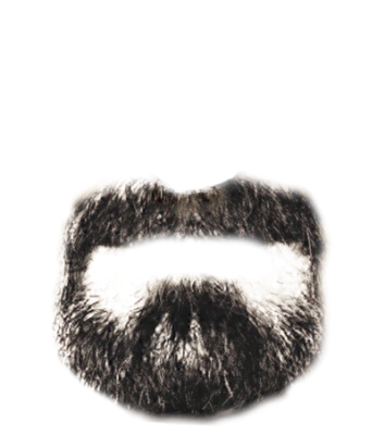 Beard Transparent PNG – Grooming and Style Element