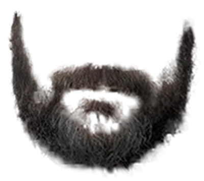 Beard Transparent PNG – Grooming and Style Element