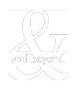 Bed Bath & Beyond Transparent Logo PNG – Home Essentials Brand 20