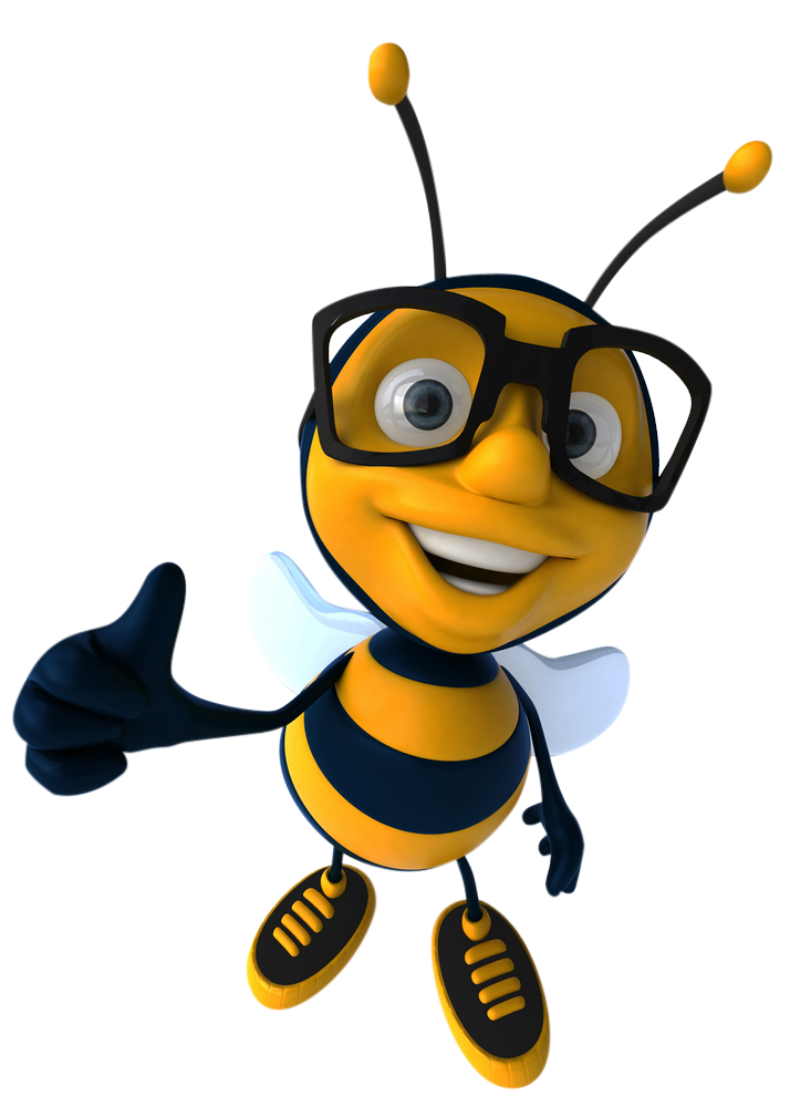 Bee PNG – Transparent Insect Illustration 1