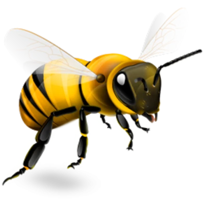 Bee PNG – Transparent Insect Illustration