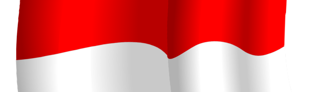 Bendera Merah Putih PNG – Indonesian National Flag Transparent Image 16