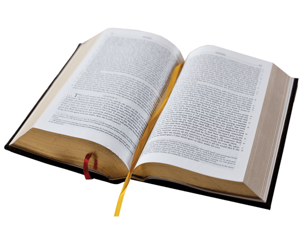 Religious Bible Book PNG – High Quality Download 8