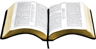 Holy Bible PNG – Open Book Transparent Image