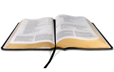 Holy Bible PNG – Open Book Transparent Image 7