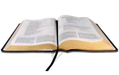 Holy Bible PNG – Open Book Transparent Image