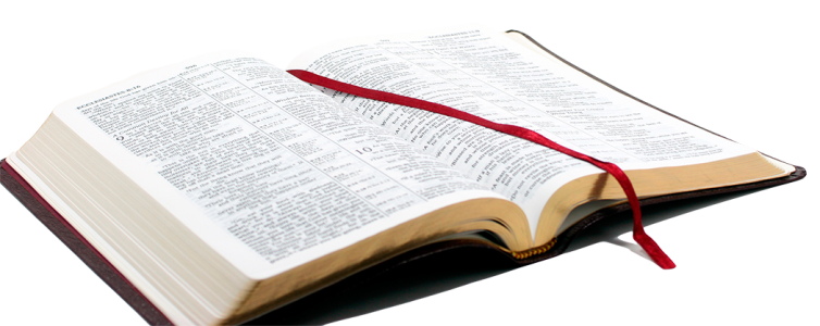 Holy Bible PNG – Open Book Transparent Image 10